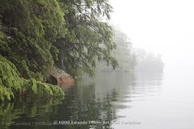 shoppingcart-thumb-image