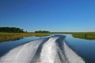 shoppingcart-thumb-image