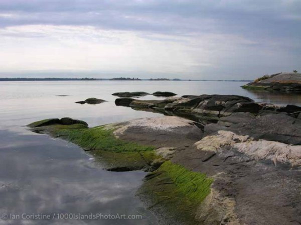 Jones Creek Area DSCN2908