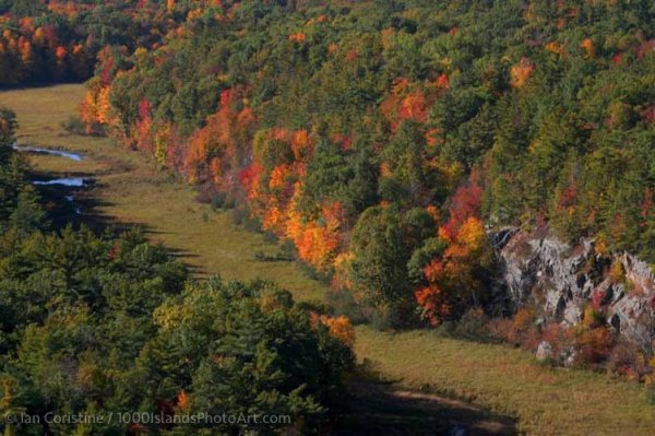 Jones Creek Area IMG 8367