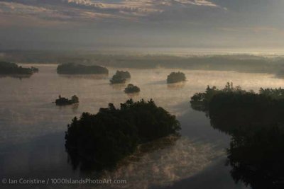 shoppingcart-thumb-image