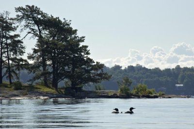 shoppingcart-thumb-image