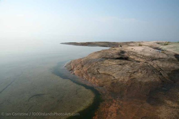 Jones Creek Area 5DIMG 0506