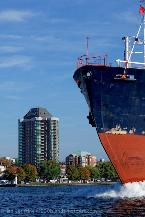 shoppingcart-thumb-image