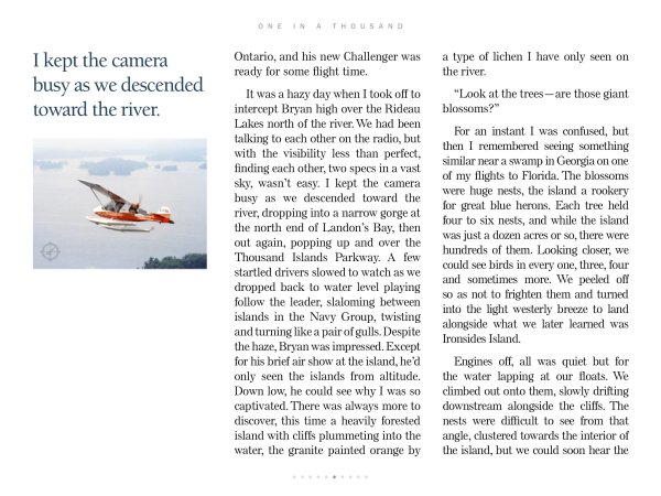 6, Vol.VI, One in a Thousand 7