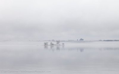 shoppingcart-thumb-image