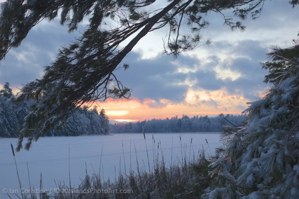 Jones Creek Area DSC01270