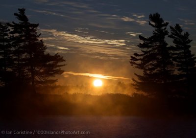 shoppingcart-thumb-image