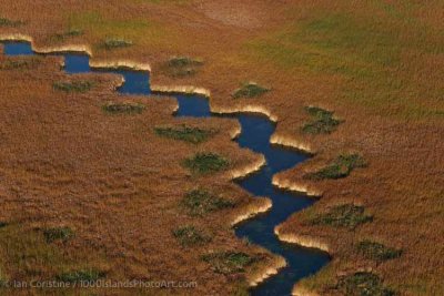 shoppingcart-thumb-image