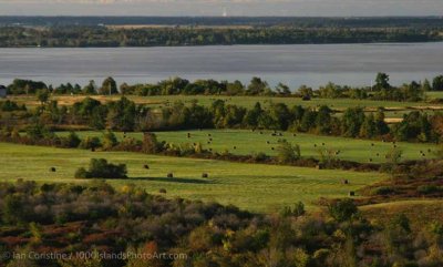 shoppingcart-thumb-image