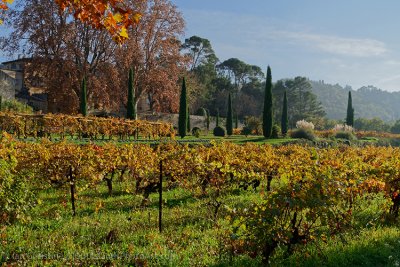 shoppingcart-thumb-image