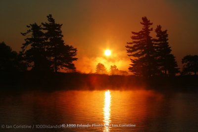 shoppingcart-thumb-image