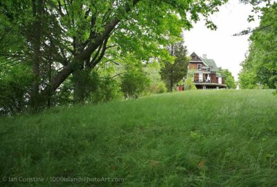 shoppingcart-thumb-image