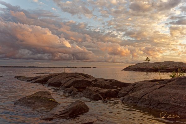 Favorites DSC04355 DxOs.jpeg