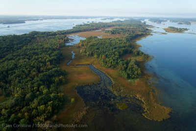 shoppingcart-thumb-image