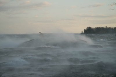 shoppingcart-thumb-image