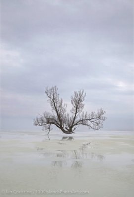 shoppingcart-thumb-image