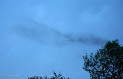 shoppingcart-thumb-image